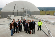 Kreisverbandsvertreter