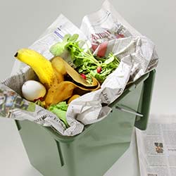 tipps fuer die bionenergietonne im sommer