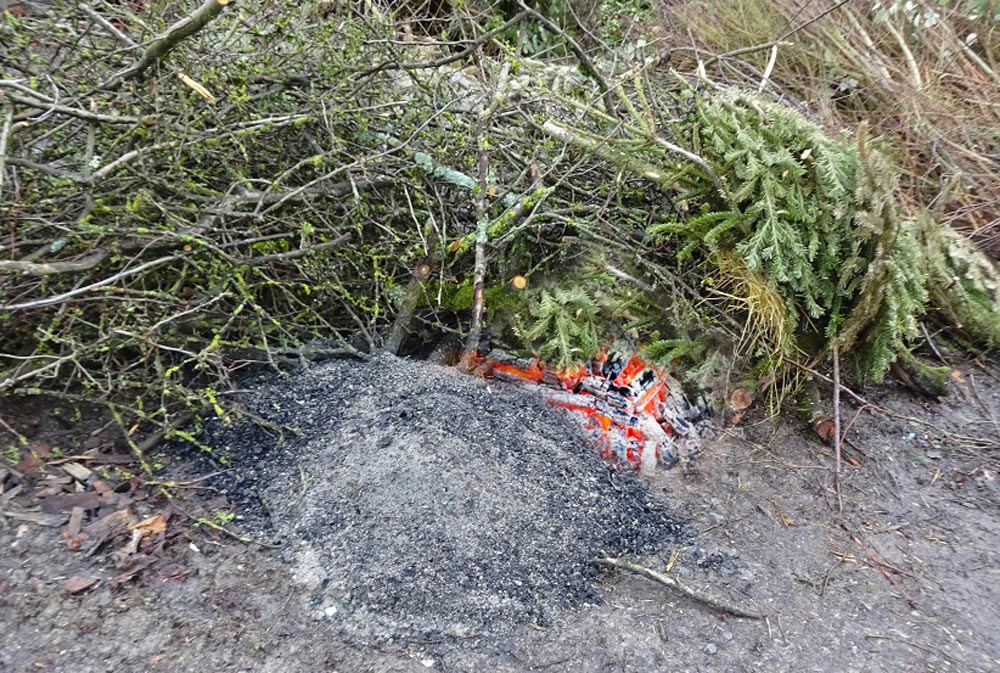 Asche auf Grüngutpatz