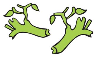 03 Grüngutgrün vKal2017 Doppel