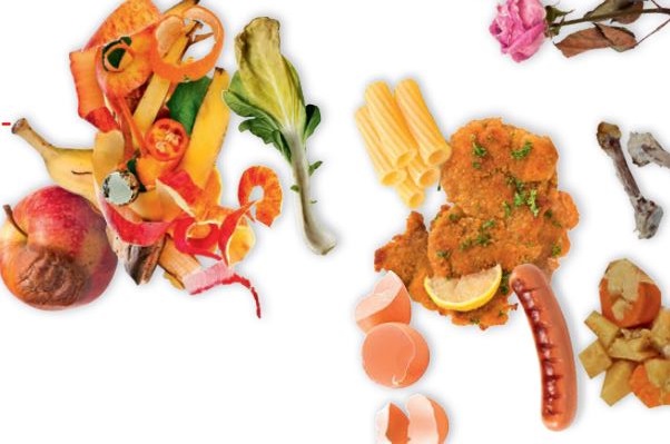 20 l 2021 ICON BioGut Mär 2021