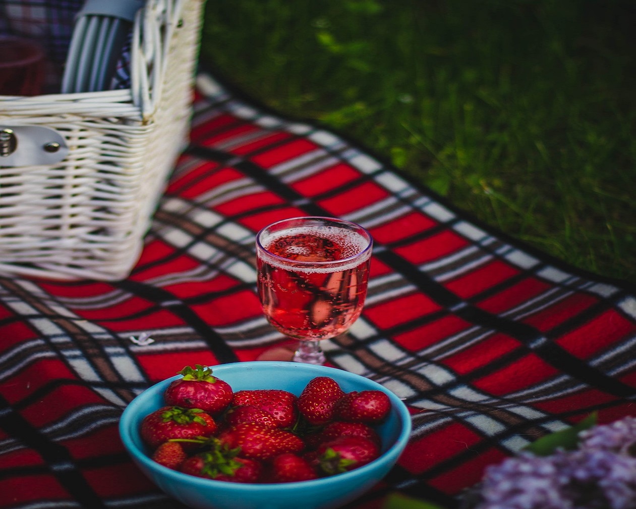 30 l 2022 ZWEICON Picknick abfallarm