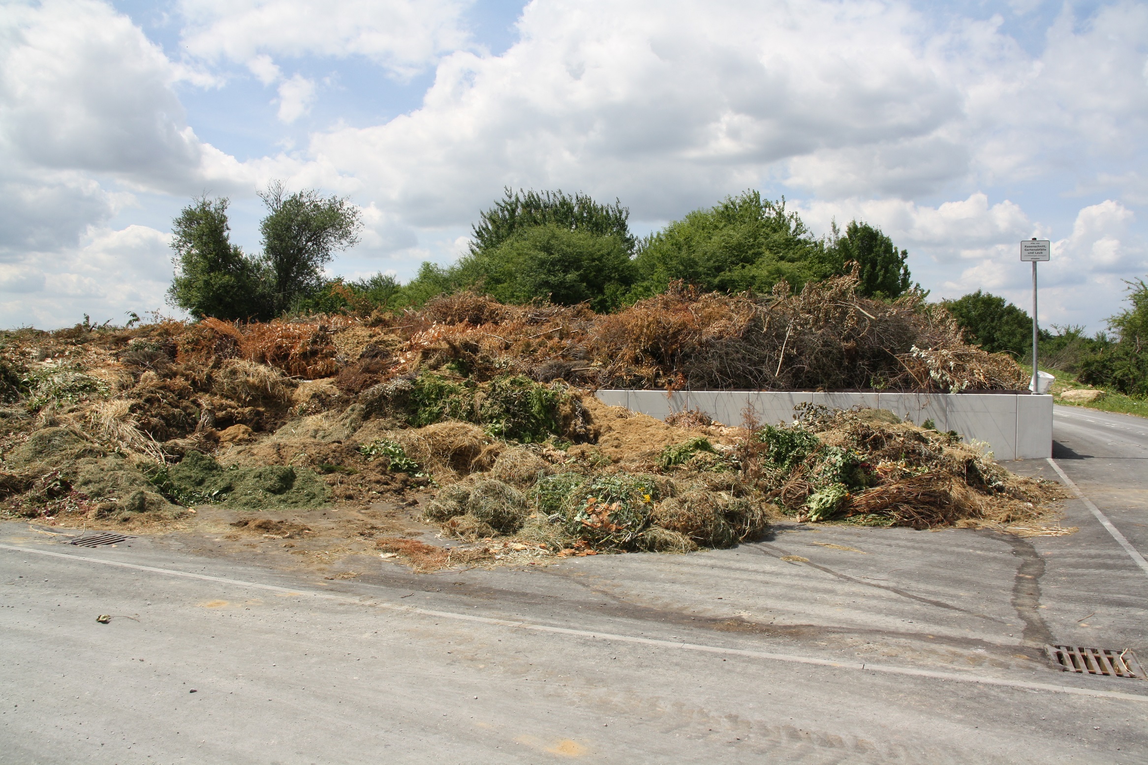 35 l 2023 ICON GGplatz MOSLob vorg zu